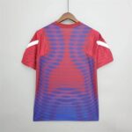 Mens Barcelona 2021/22 Pre-Match Jersey Red And Blue 7