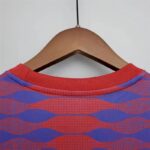 Mens Barcelona 2021/22 Pre-Match Jersey Red And Blue 6