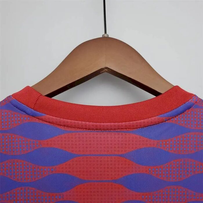 Mens Barcelona 2021/22 Pre-Match Jersey Red And Blue 6