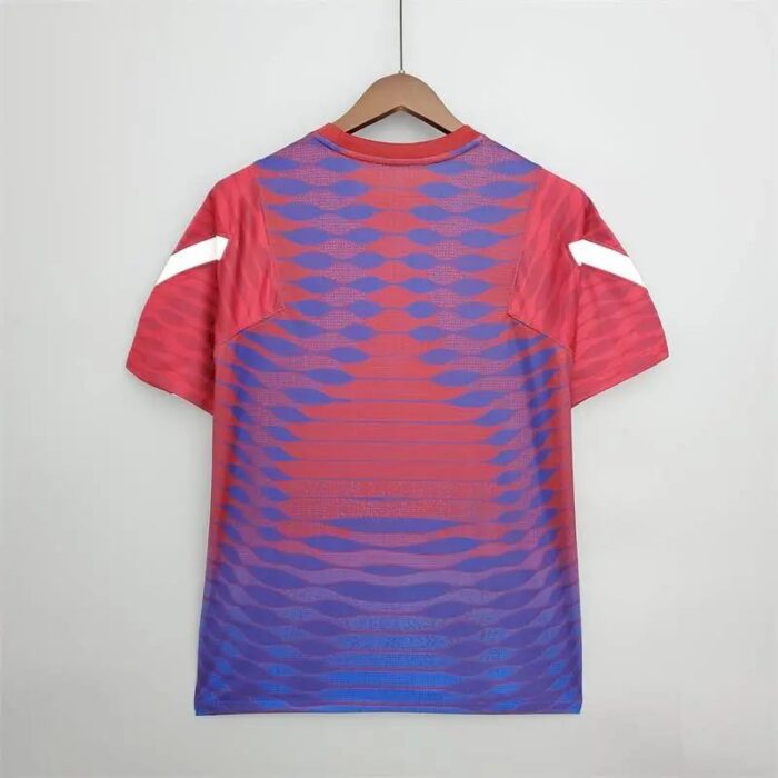 Mens Barcelona 2021/22 Pre-Match Jersey Red And Blue 7