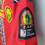Mens Cameroon Jersey 3