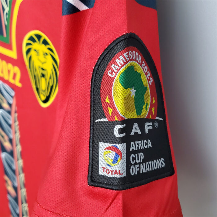 Mens Cameroon Jersey 3