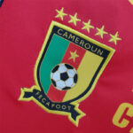 Mens Cameroon Jersey 4