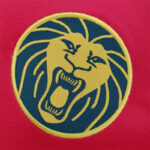 Mens Cameroon Jersey 5