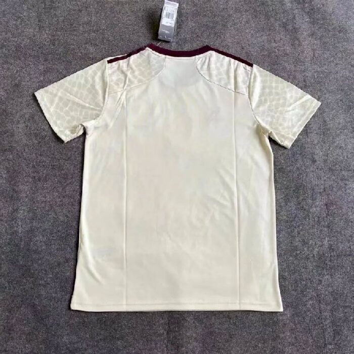 Mens Mexico 2022/23 Away Boutique Jersey 1