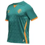 Mens Fluminense 2020 Third Jersey 2
