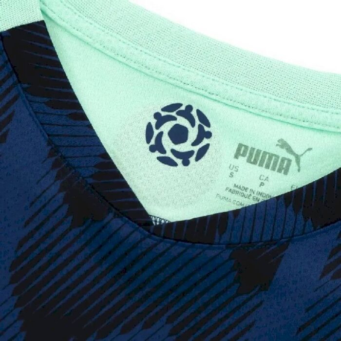 Mens PSV Eindhoven 2021/22 Away Jersey 5