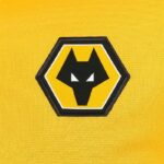 Mens Wolves 2022/23 Home Jersey 2