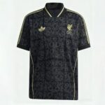 Mens Liverpool 2025/26 Special Jersey