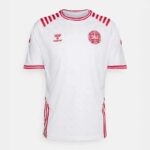 Mens Denmark 2022 Limited Edition Jersey