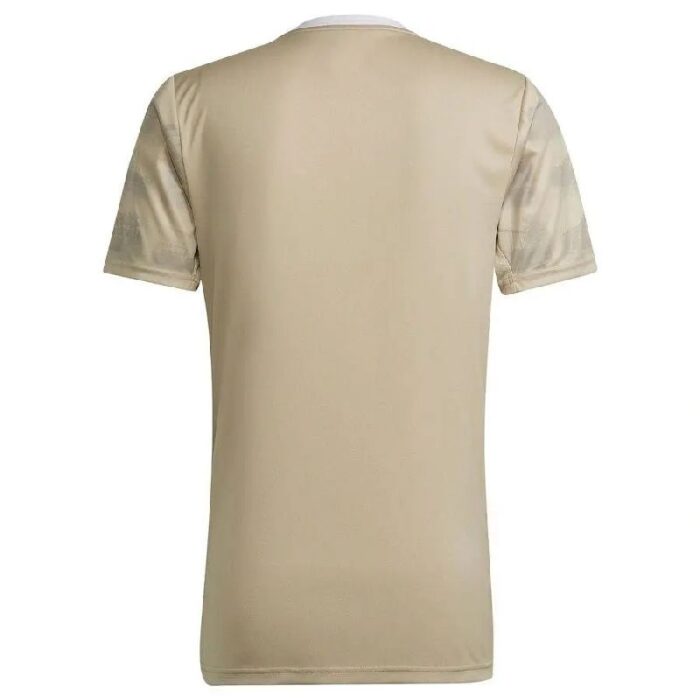 Mens Ajax 2022/23 Third Jersey 2