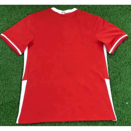 Mens Poland 2020 Away Jersey 1