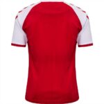 Mens Denmark 2021 Home Jersey 1