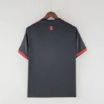 Mens Bayern Munich 2022/23 Third Jersey 9