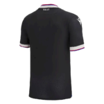 Mens Crystal Palace 2022/23 Third Jersey 1