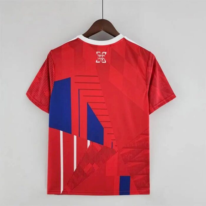 Mens Bayern Munich 2022/23 10 Crowns Boutique Jersey 9