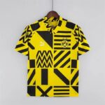 Mens Borussia Dortmund 2022/23 Pre-Match Jersey