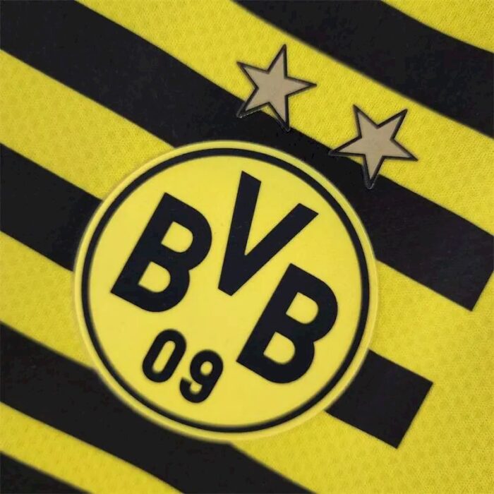 Mens Borussia Dortmund 2022/23 Pre-Match Jersey 4