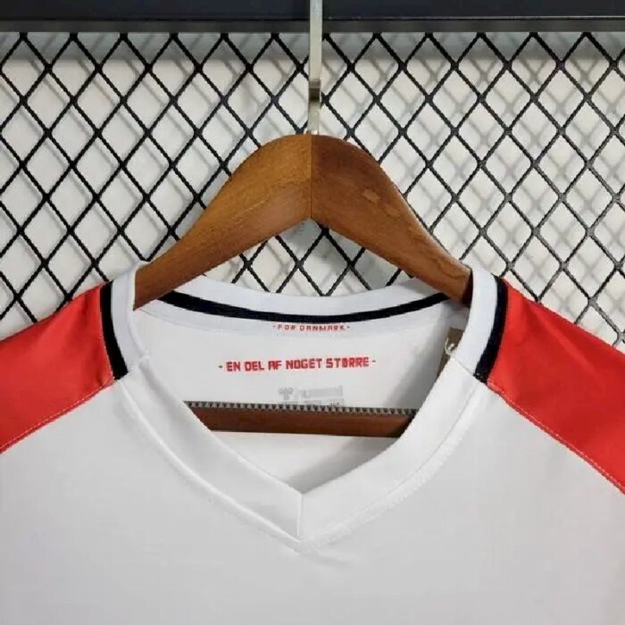 Mens Denmark 2023/24 Away Jersey 3