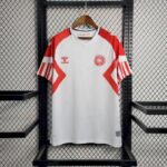 Mens Denmark 2023/24 Away Jersey 1