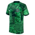 Mens Nigeria 2022/23 Home Boutique Jersey