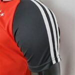 Mens Ajax 2021/22 Polo 5