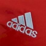 Mens Ajax 2021/22 Polo 6