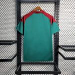 Mens Fluminense 2023/24 Pre-Match Jersey 3