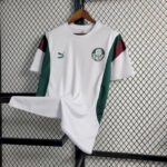 Mens Palmeiras 2023/24 Pre-Match Jersey 3