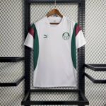 Mens Palmeiras 2023/24 Pre-Match Jersey 1