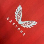 Mens Feyenoord 2023/24 Home Jersey 3