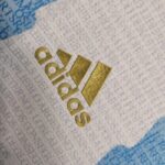 Mens Argentina 2020/21 Commemorative Edition Jersey 2