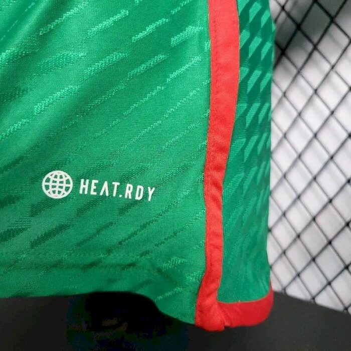 Mens Mexico 2022 Home Jersey Player Version 6