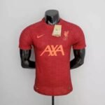 Mens Liverpool 2022/23 Pre-Match Jersey Player Version