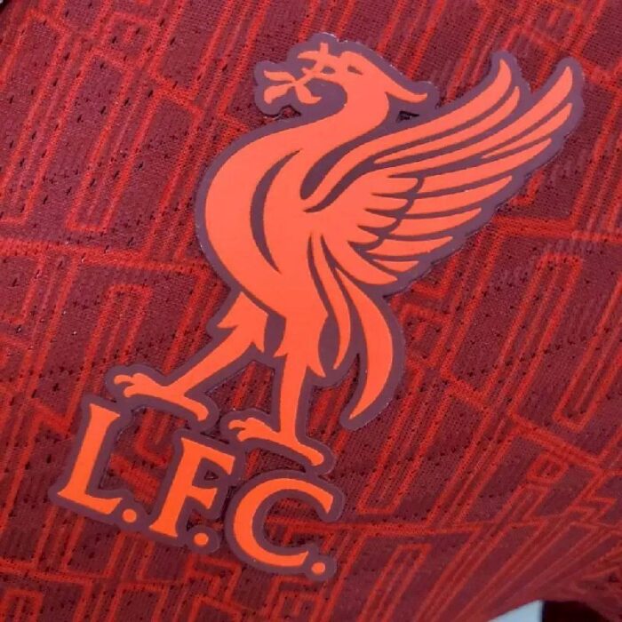 Mens Liverpool 2022/23 Pre-Match Jersey Player Version 1