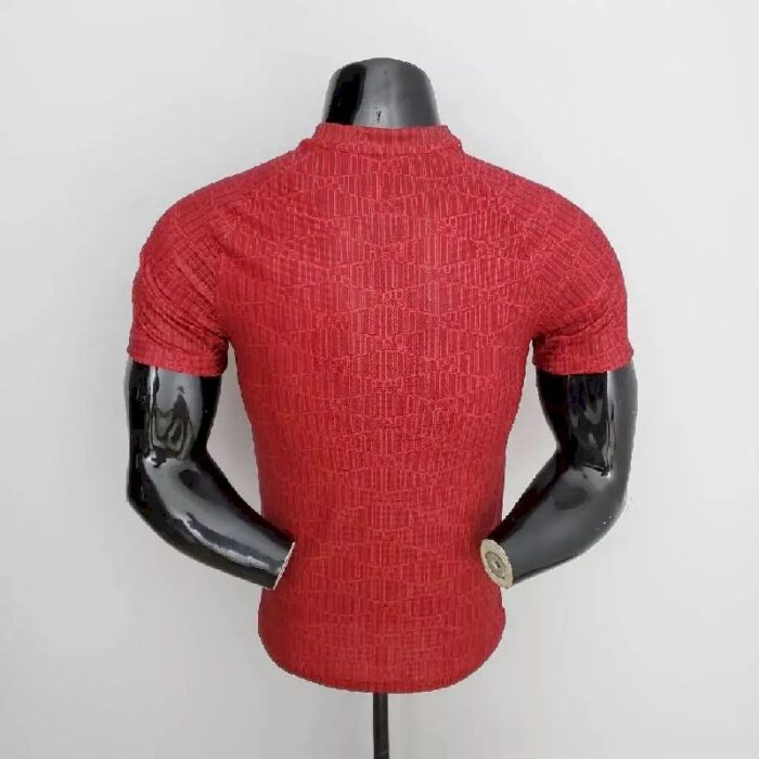 Mens Liverpool 2022/23 Pre-Match Jersey Player Version 5