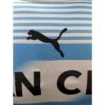 Mens Manchester City 2021/22 Pre-Match Jersey Player Version 2