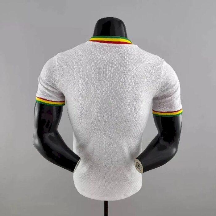 Mens Senegal 2022 Home Jersey Player Version 4