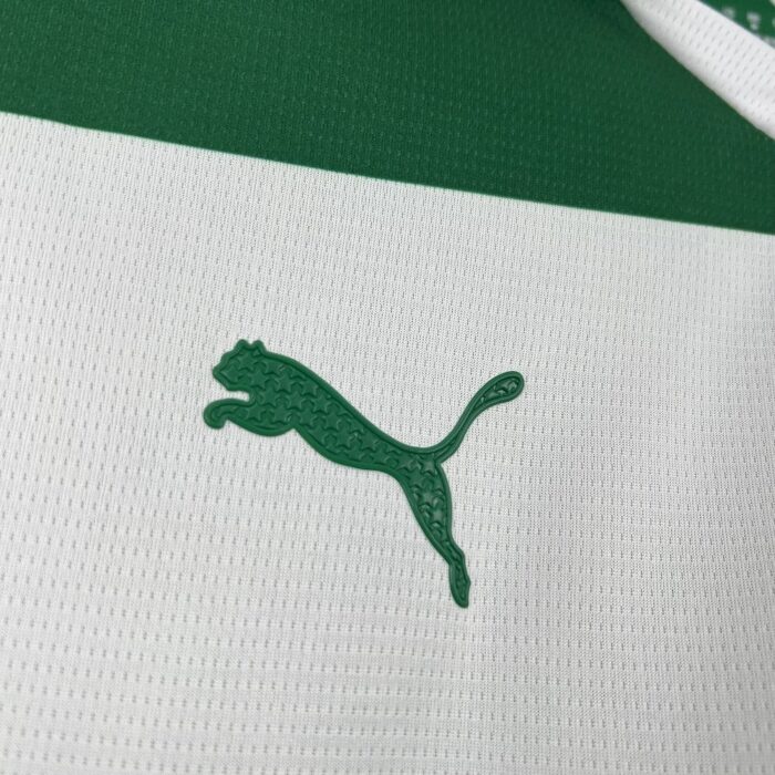 Mens Palmeiras 2025/26 Special Jersey 6