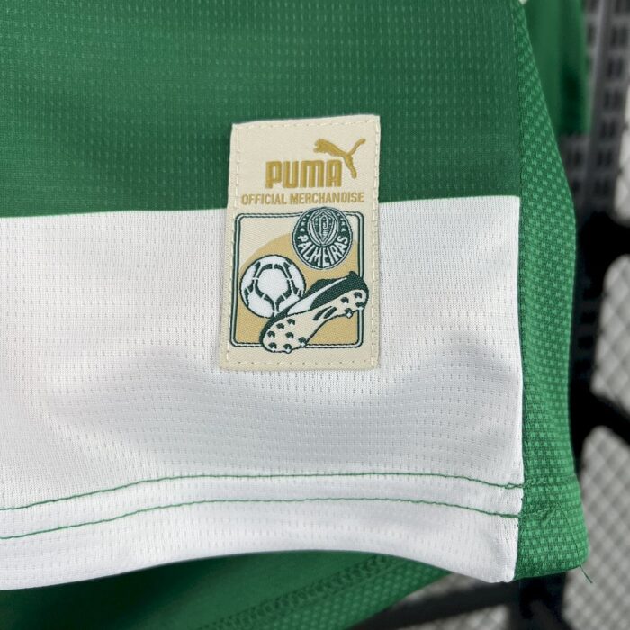 Mens Palmeiras 2025/26 Special Jersey 3