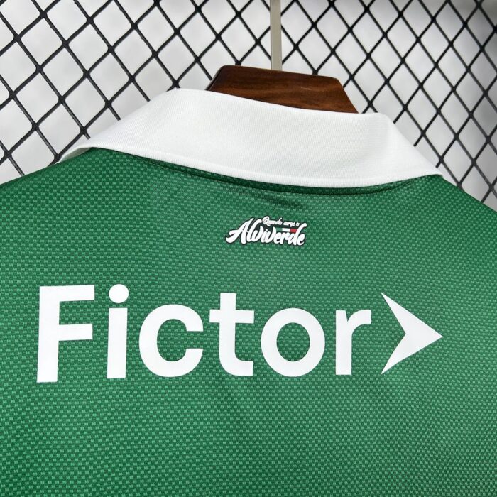 Mens Palmeiras 2025/26 Special Jersey 2