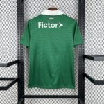 Mens Palmeiras 2025/26 Special Jersey 1