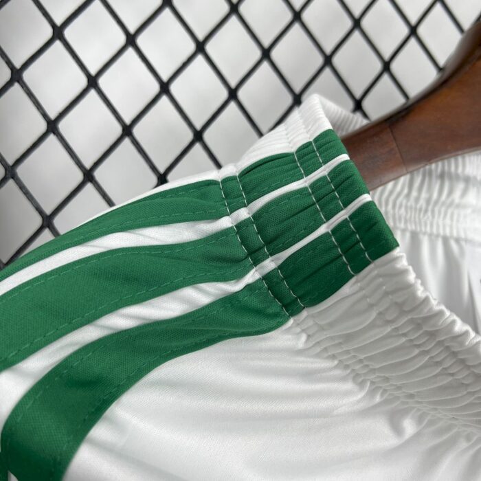 Mens Mexico 2026 World Cup Speical Jersey 5