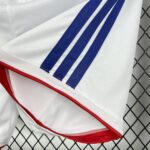 Mens Japan 2026 World Cup Home Shorts 4