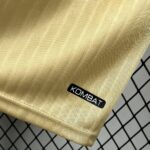 Mens FC Versailles 2025/26 Special Long Sleeve Jersey 2