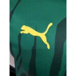 Mens Senegal 2022 Commemorative Jersey Player Version 1