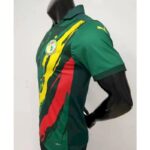 Mens Senegal 2022 Commemorative Jersey Player Version 4
