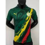 Mens Senegal 2022 Commemorative Jersey Player Version 5