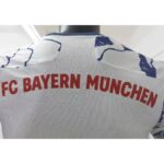 Mens Bayern Munich 2021/22 Third Jersey Player Version 5