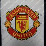Mens Manchester United 2023/24 Pre-Match Jersey Player Version 6
